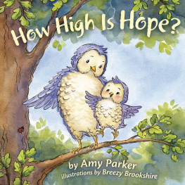 Amy Parker - How High Is Hope?