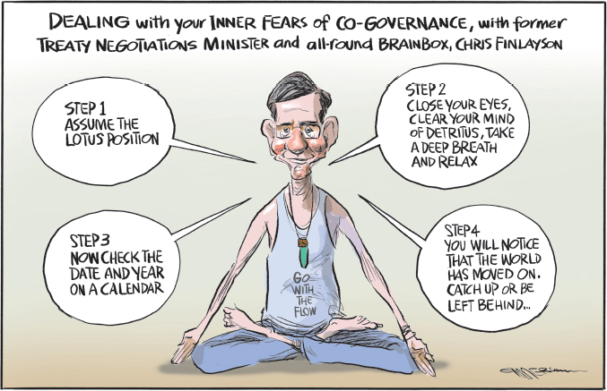 A recent cartoon in the New Zealand Herald on dealing with my views on - photo 15