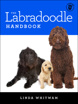 Linda Whitwam - The Labradoodle Handbook