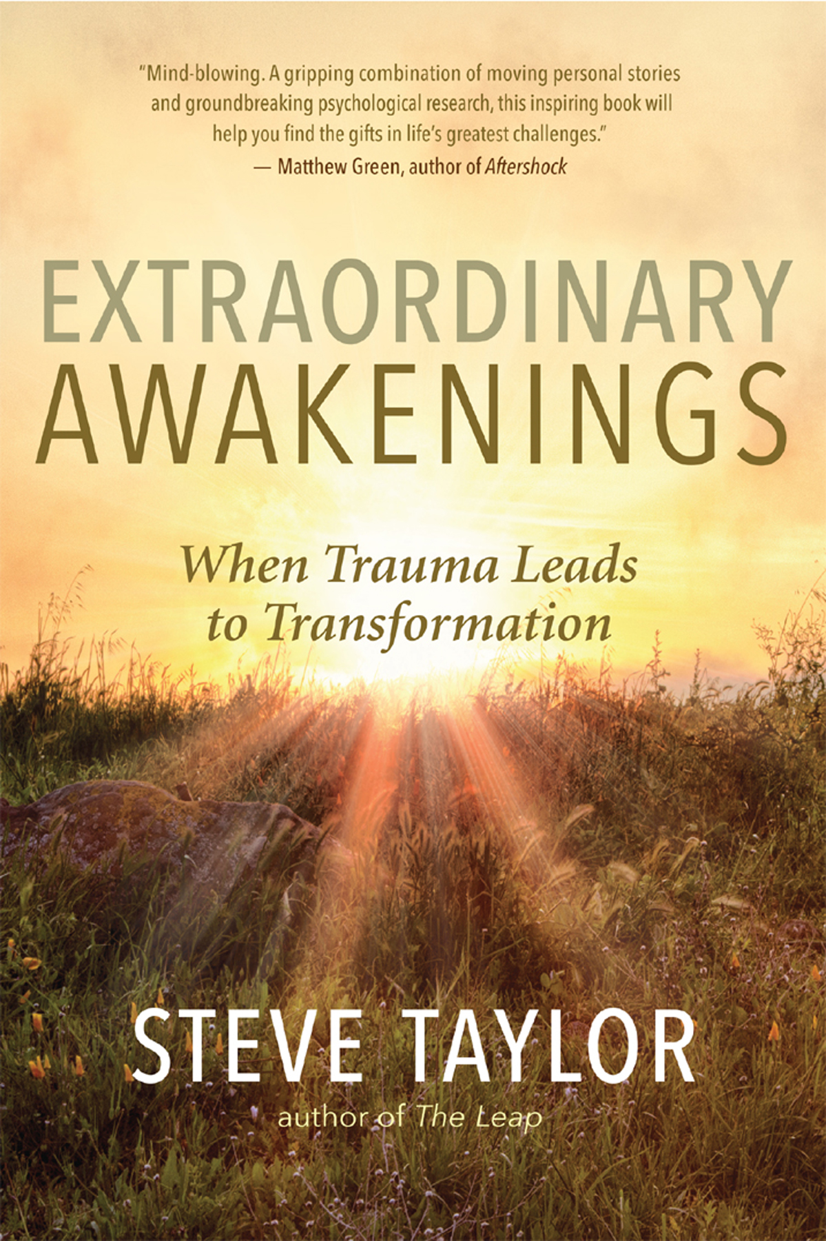 Praise for Extraordinary Awakenings Steve Taylors brilliant new book - photo 1