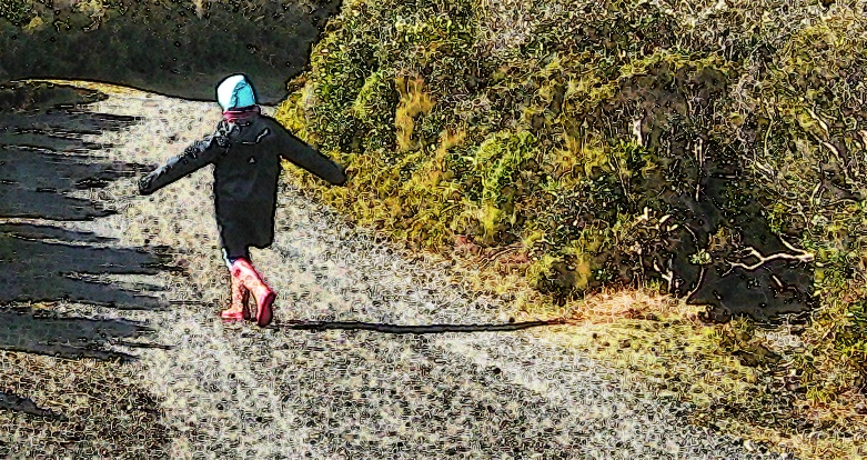 Tayla is pleased to be on the move and skips ahead pastlow scrub and clumps - photo 5