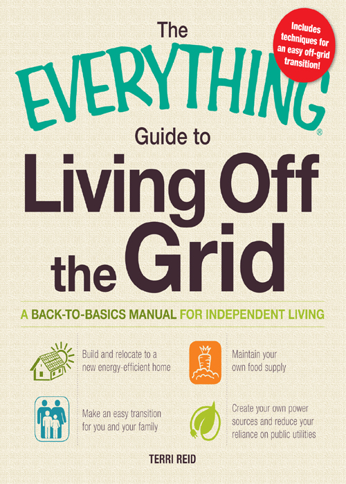 THE EVERYTHING GUIDE TO LIVING OFF THE GRID Dear Reader Twenty years ago - photo 1