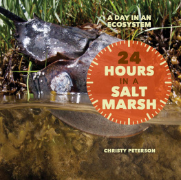 Christy Peterson - 24 Hours in a Salt Marsh