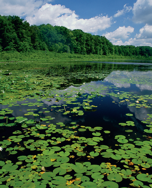 Wild Ohio The Best of Our Natural Heritage Jim McCormac and Gary Meszaros - photo 2