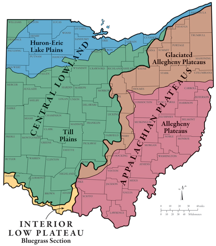 Five natural regions form modern Ohio the lake plain the till plain the - photo 3