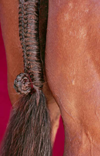 Braiding Manes and Tails A Visual Guide to 30 Basic Braids - image 3