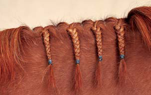 Braiding Manes and Tails A Visual Guide to 30 Basic Braids - photo 6