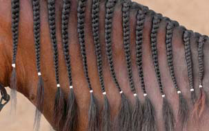 Braiding Manes and Tails A Visual Guide to 30 Basic Braids - photo 7