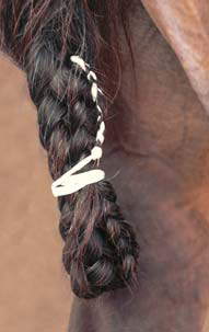 Braiding Manes and Tails A Visual Guide to 30 Basic Braids - photo 8