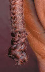 Braiding Manes and Tails A Visual Guide to 30 Basic Braids - photo 9