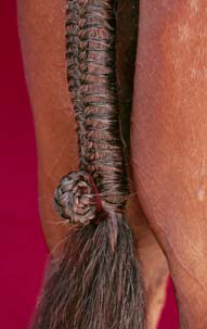 Braiding Manes and Tails A Visual Guide to 30 Basic Braids - photo 12