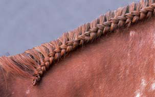 Braiding Manes and Tails A Visual Guide to 30 Basic Braids - photo 20