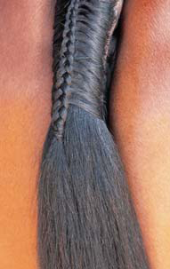 Braiding Manes and Tails A Visual Guide to 30 Basic Braids - photo 22