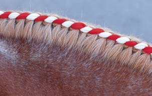 Braiding Manes and Tails A Visual Guide to 30 Basic Braids - photo 25