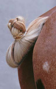 Braiding Manes and Tails A Visual Guide to 30 Basic Braids - photo 27