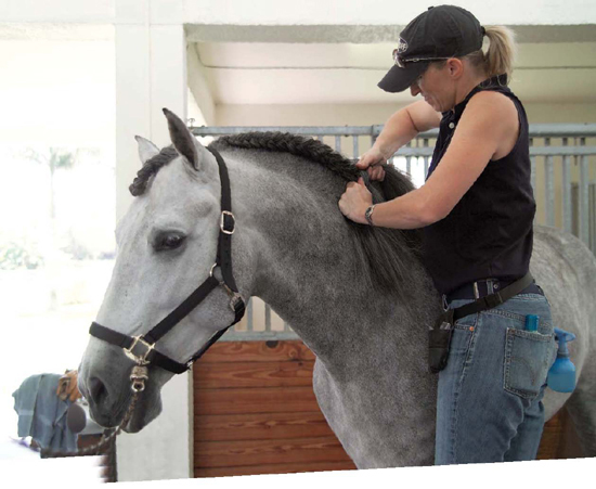 GETTING STARTED Not only will braiding enhance your horses beauty but it is - photo 33