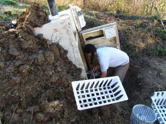 A 10 structure gives us room to store plenty of winter carrots cabbages and - photo 5