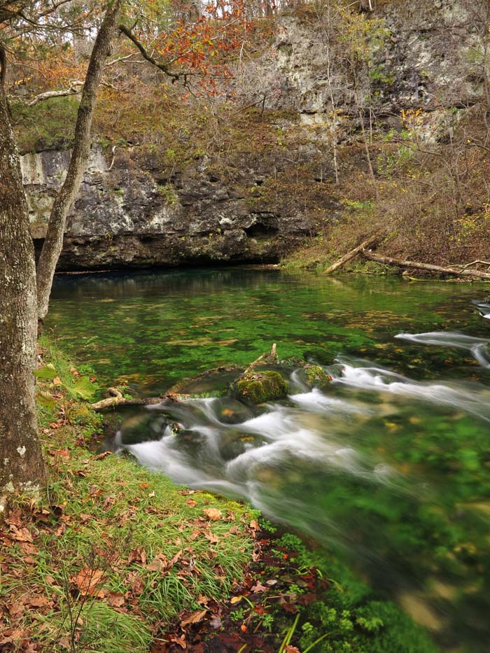 CRYSTAL CLEAR WATER FLOWS FROM BLUE SPRING NEXT TO THE CURRENT RIVER See - photo 7