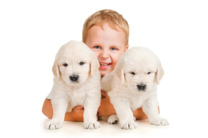 Breeders also sell purebred puppies right from their backyard If you are - photo 10