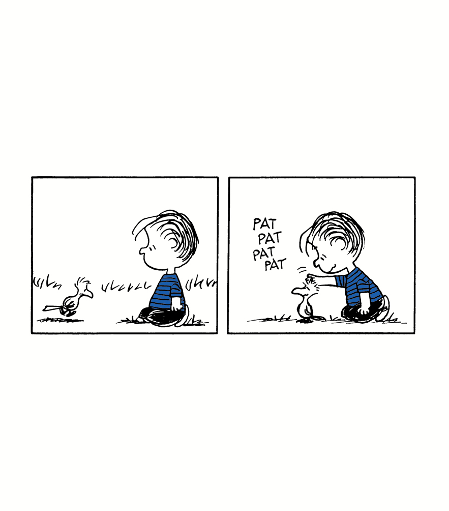 Life According to Linus - photo 13