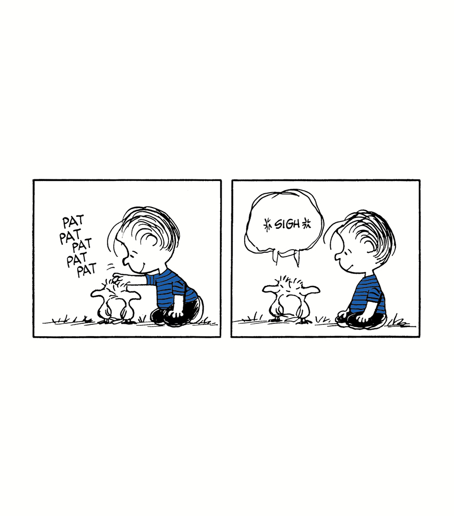 Life According to Linus - photo 39