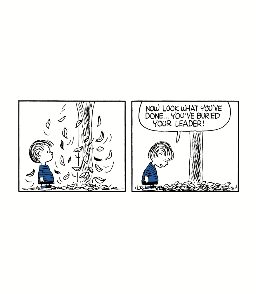 Life According to Linus - photo 44