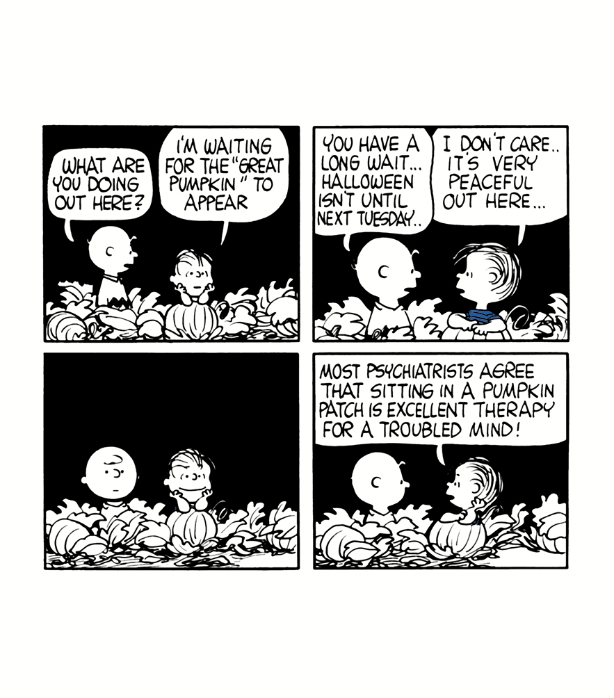 Life According to Linus - photo 47