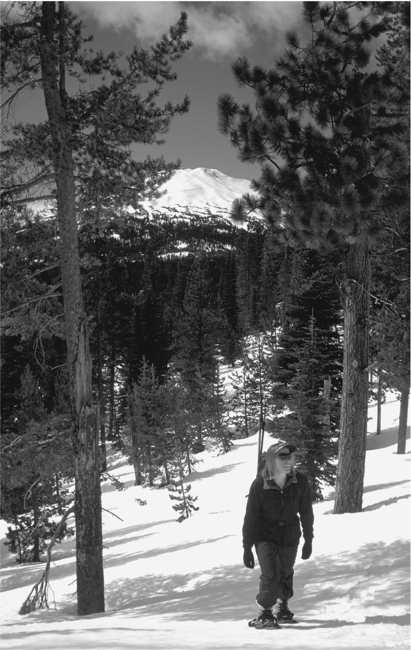 Snowshoe Routes Oregon - image 2