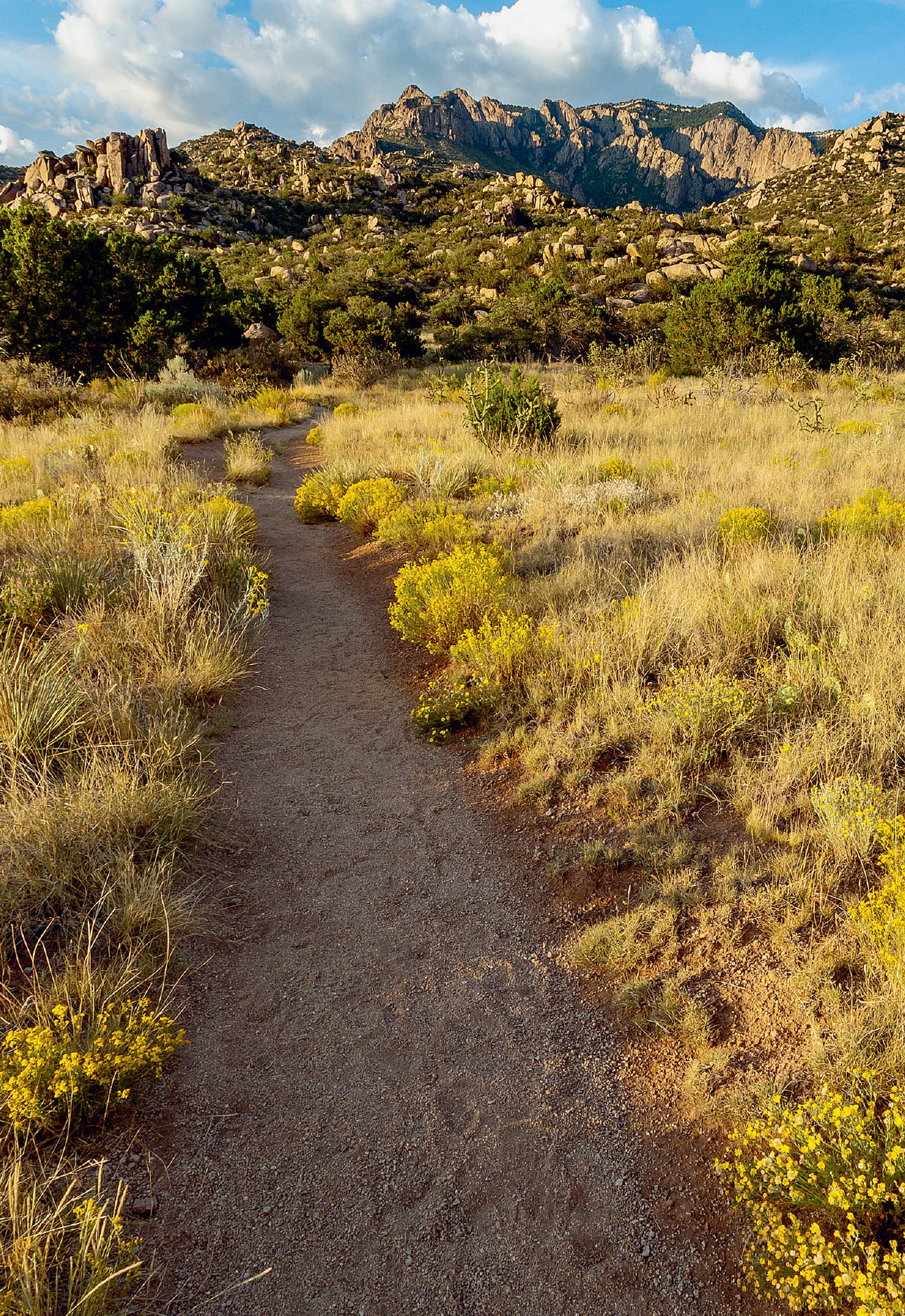 Hikes New Mexico Family Adventure Sites Preface The first time I went - photo 6