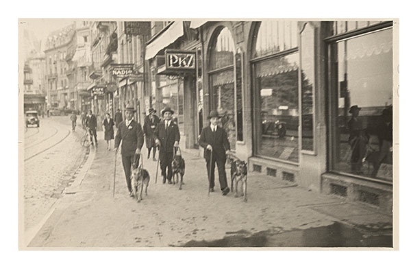 Training on the streets of Lausanne Switzerland with German Shepherd - photo 3