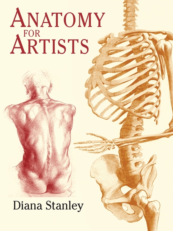 Anatomy for Artists - image 1