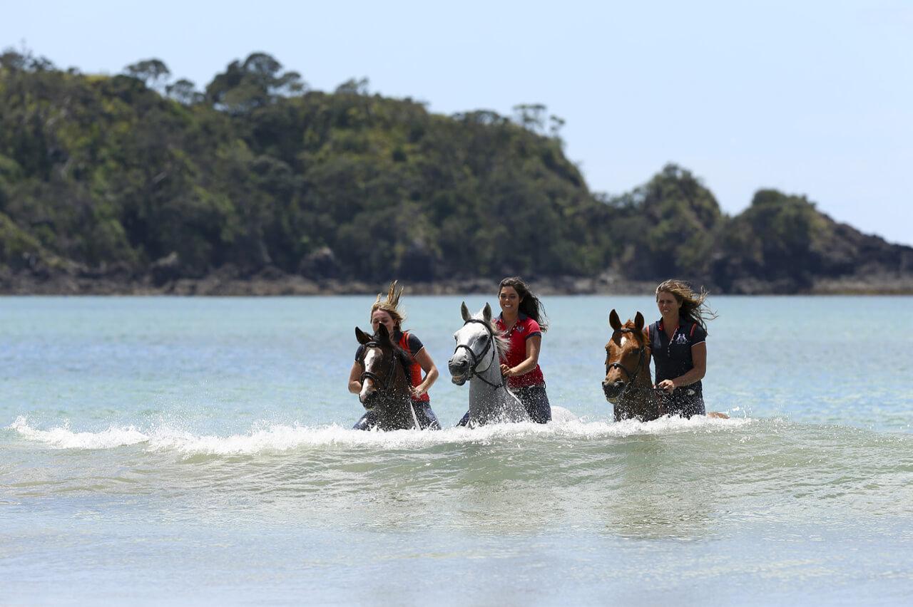 Riding our showjumpers at the beach From the moment we first saw the - photo 7