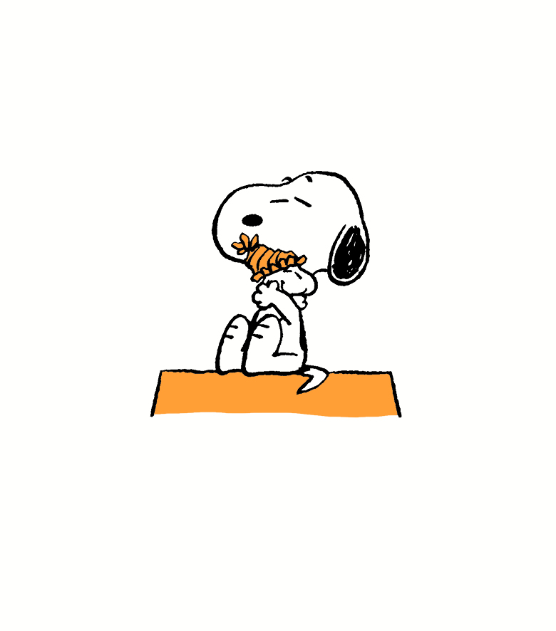 The Peanuts Guide to Happiness - photo 5