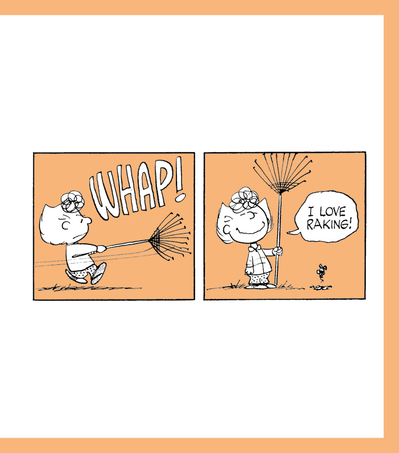 The Peanuts Guide to Happiness - photo 15