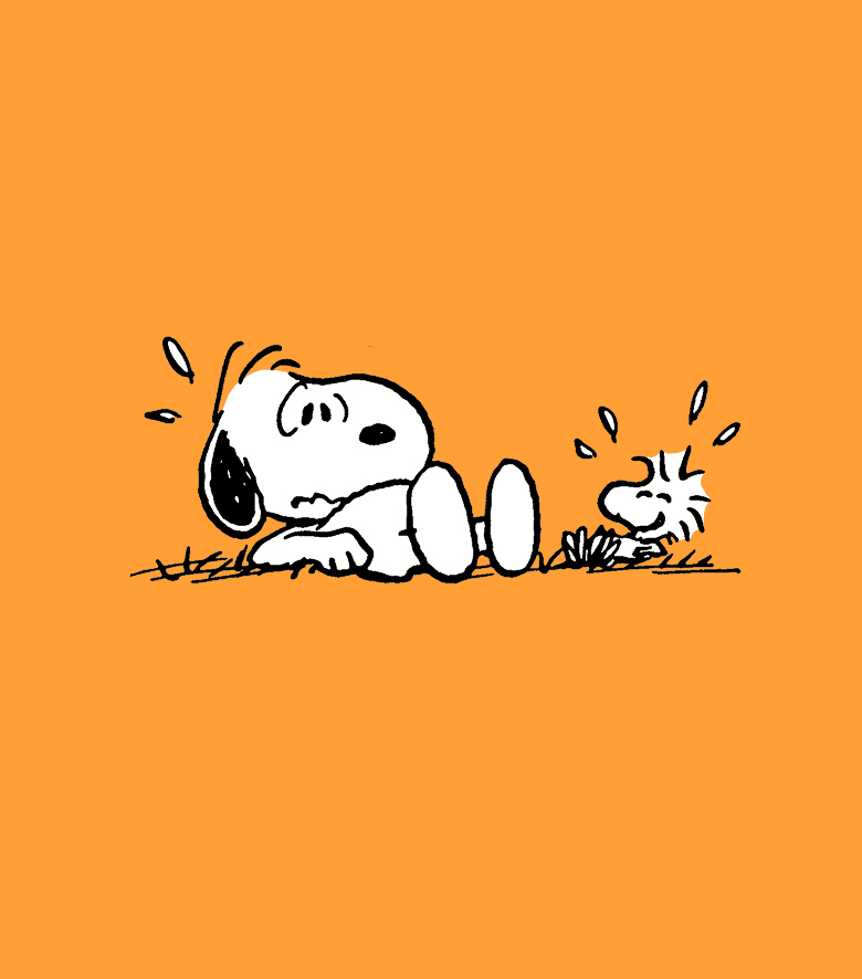 The Peanuts Guide to Happiness - photo 17