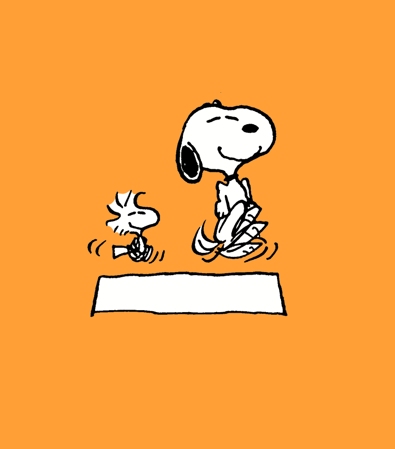 The Peanuts Guide to Happiness - photo 25