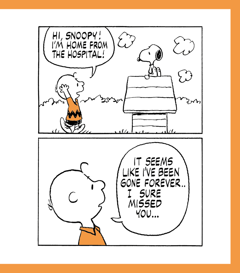 The Peanuts Guide to Happiness - photo 29