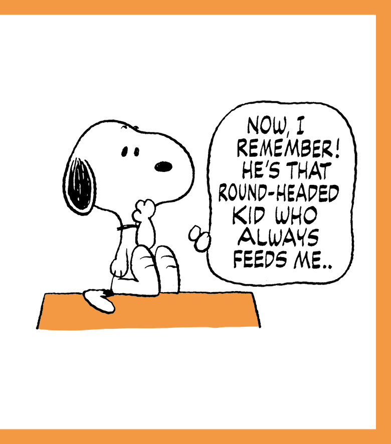 The Peanuts Guide to Happiness - photo 31