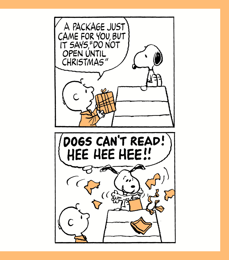 The Peanuts Guide to Happiness - photo 49