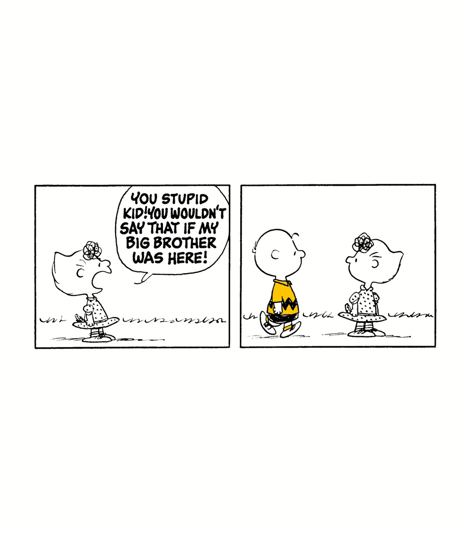 The Genius of Charlie Brown - photo 11