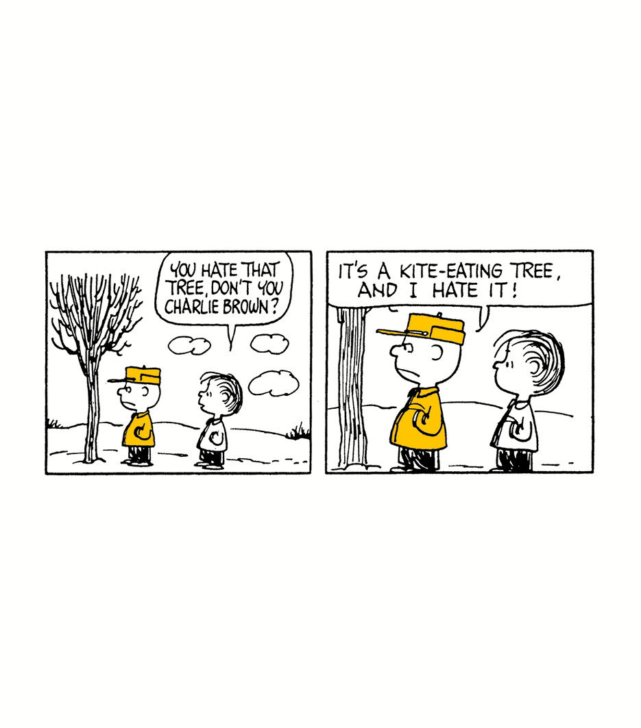 The Genius of Charlie Brown - photo 47