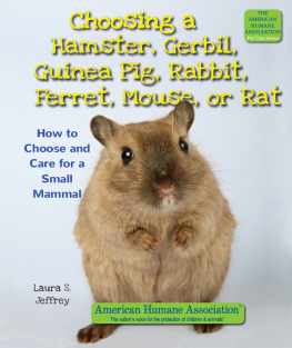 Laura S. Jeffrey - Choosing a Hamster, Gerbil, Guinea Pig, Rabbit, Ferret, Mouse, or Rat: How to Choose and Care for a Small Mammal