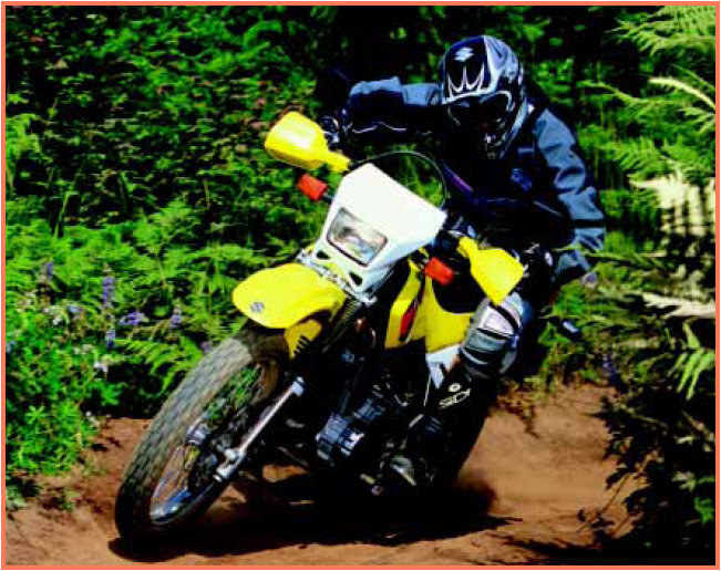 Dirt bikes go where no other motorcycles dare Dirt bikes dont have fancy - photo 5