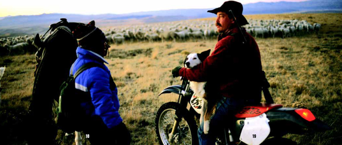 Horses dogs and dirt bikes are ranchers best friends Dirt bikes are used - photo 13