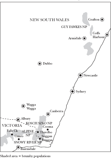 Principal brumby populations in Australias southeastern ranges And - photo 4