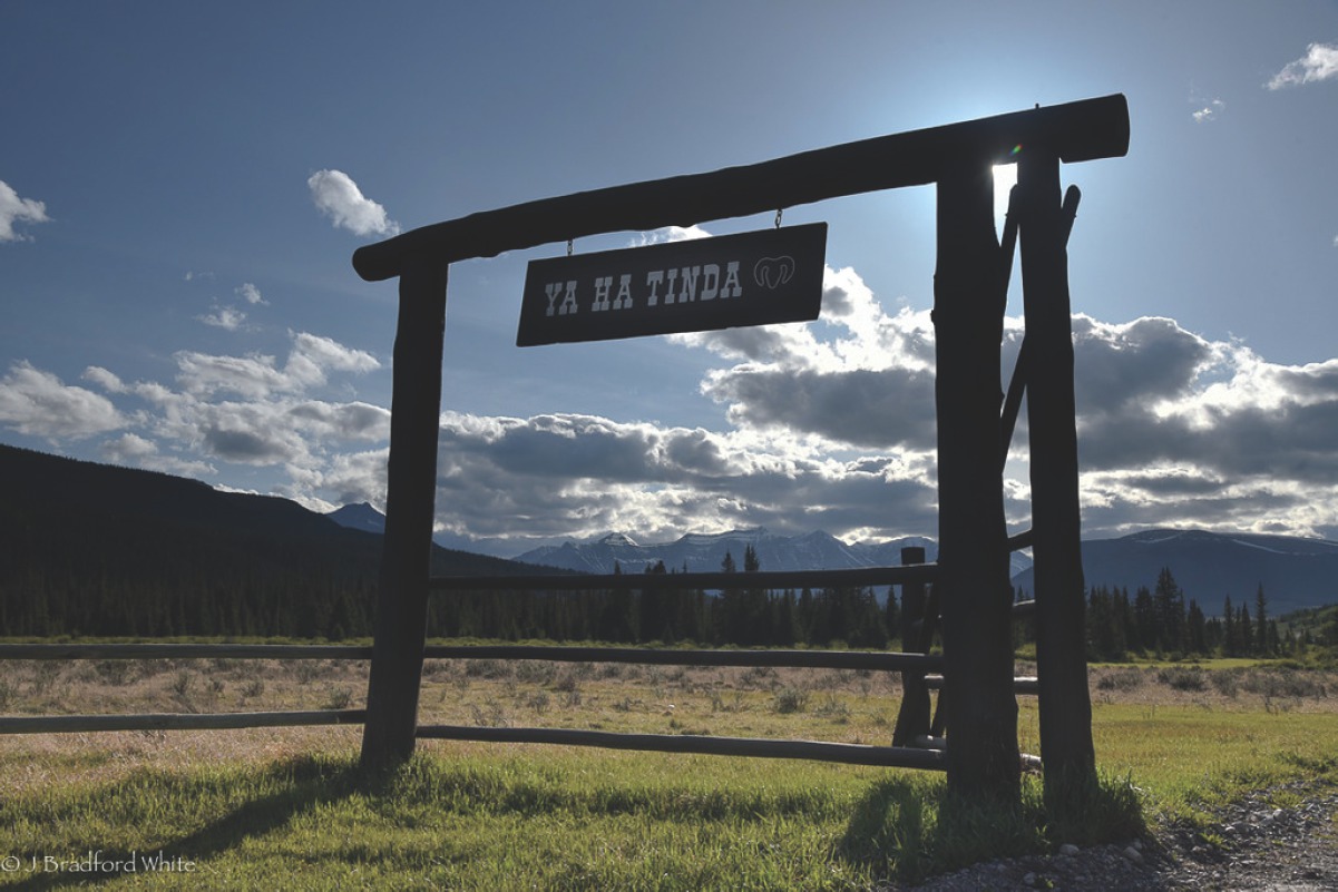 Welcome gate to the the Ya Ha Tinda PHOTO BY BRADFORD WHITE Horse racing - photo 4