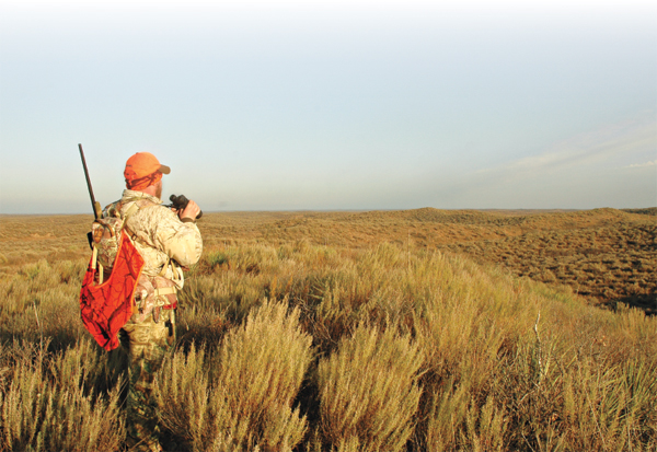 Oklahomas sand hills are unusual habitat scenic in their way and very good - photo 6