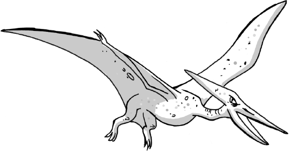 Some Pteranodons flying reptiles like dinosaurs used their pointy heads as - photo 5