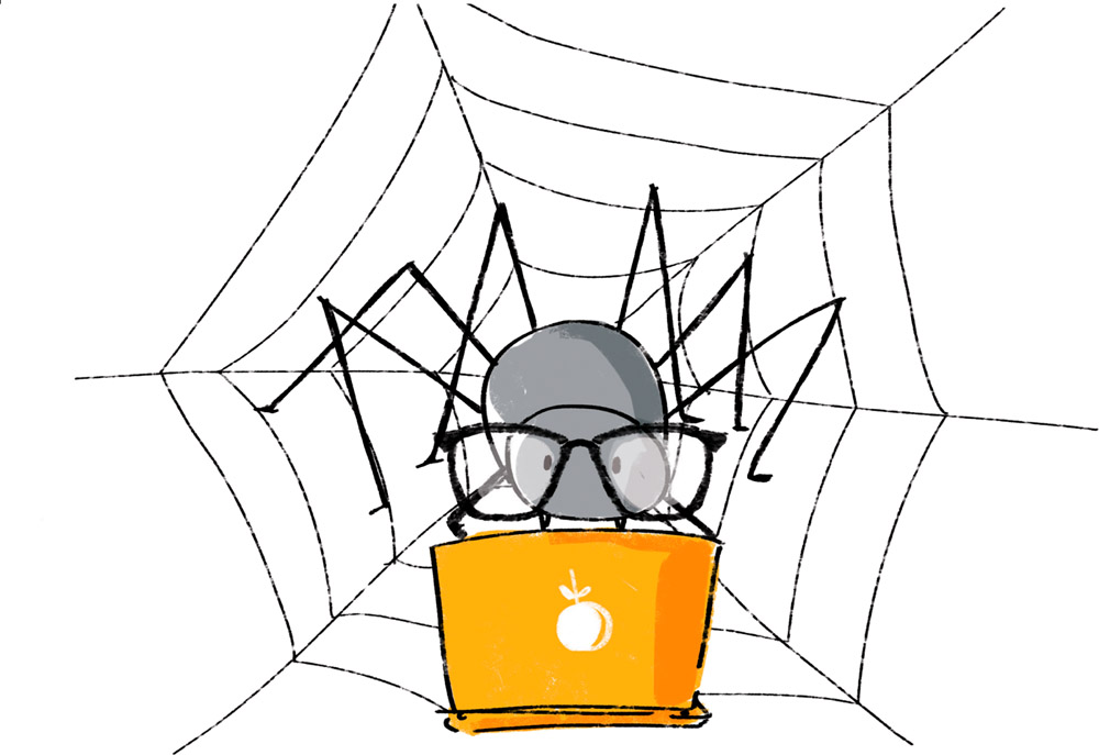 Whats the best job for a spider Web designer What do you get if you - photo 13