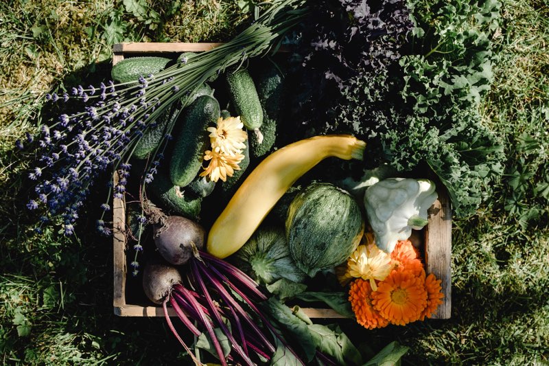 Figure 1 Freshly picked homegrown vegetables will fill your heart with pride - photo 3